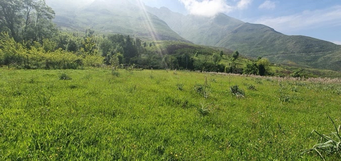 Qualité de l'Air et pureté